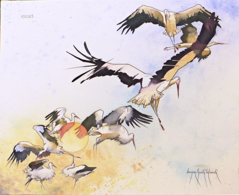 Scaled image 130323 61x50.jpg: 130323 61x50 