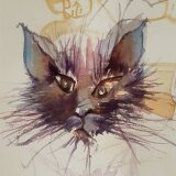 Thumbnail A38.jpg: A38 